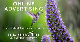 hummingbird online marketing