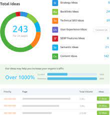 seo check tool