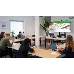 nima b online marketing