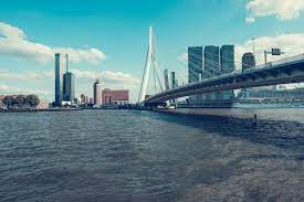 seo rotterdam