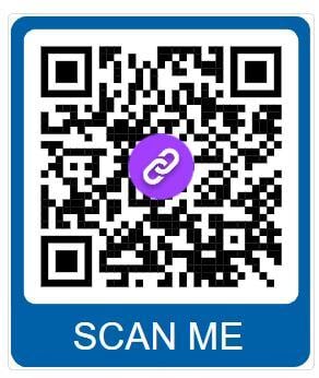 website scan